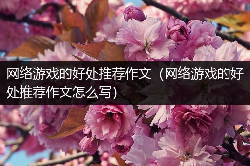 网络游戏的好处推荐作文（网络游戏的好处推荐作文怎么写）