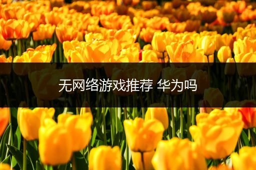 无网络游戏推荐 华为吗