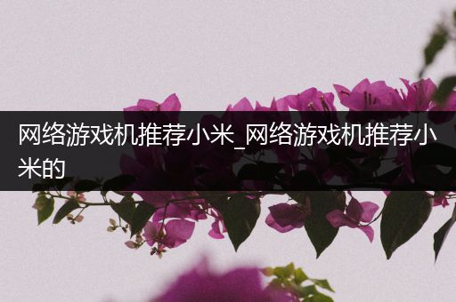 网络游戏机推荐小米_网络游戏机推荐小米的