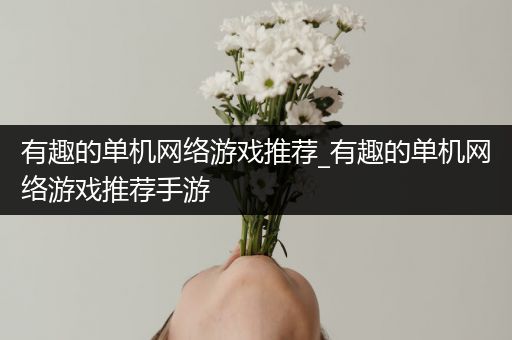 有趣的单机网络游戏推荐_有趣的单机网络游戏推荐手游