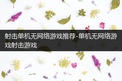 射击单机无网络游戏推荐-单机无网络游戏射击游戏