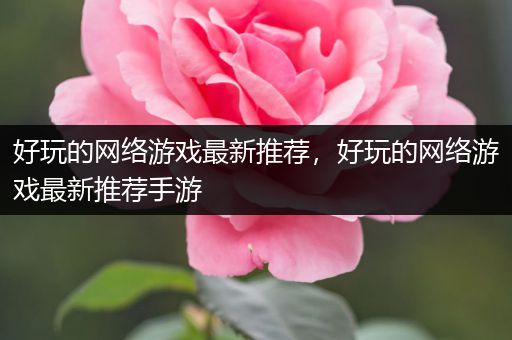 好玩的网络游戏最新推荐，好玩的网络游戏最新推荐手游