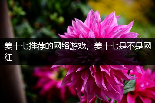 姜十七推荐的网络游戏，姜十七是不是网红