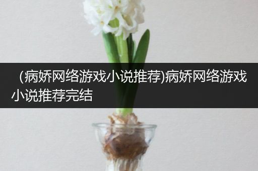 （病娇网络游戏小说推荐)病娇网络游戏小说推荐完结