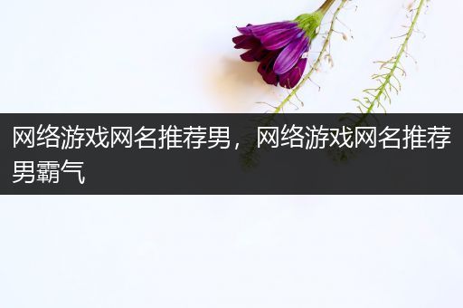 网络游戏网名推荐男，网络游戏网名推荐男霸气