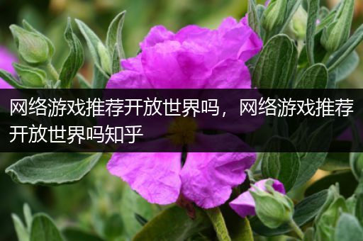 网络游戏推荐开放世界吗，网络游戏推荐开放世界吗知乎