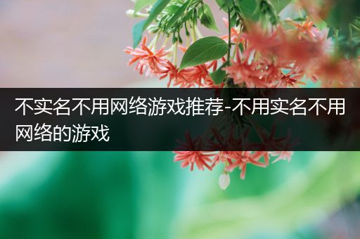 不实名不用网络游戏推荐-不用实名不用网络的游戏