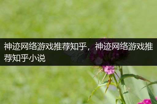 神迹网络游戏推荐知乎，神迹网络游戏推荐知乎小说
