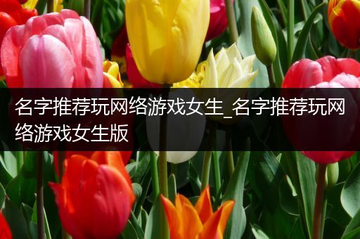 名字推荐玩网络游戏女生_名字推荐玩网络游戏女生版