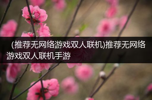 （推荐无网络游戏双人联机)推荐无网络游戏双人联机手游
