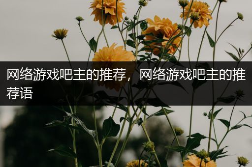 网络游戏吧主的推荐，网络游戏吧主的推荐语
