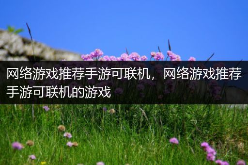 网络游戏推荐手游可联机，网络游戏推荐手游可联机的游戏