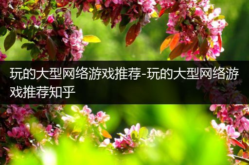 玩的大型网络游戏推荐-玩的大型网络游戏推荐知乎