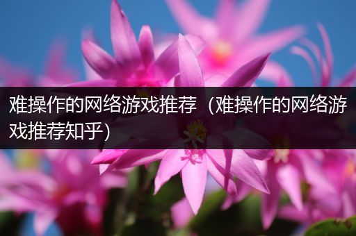 难操作的网络游戏推荐（难操作的网络游戏推荐知乎）