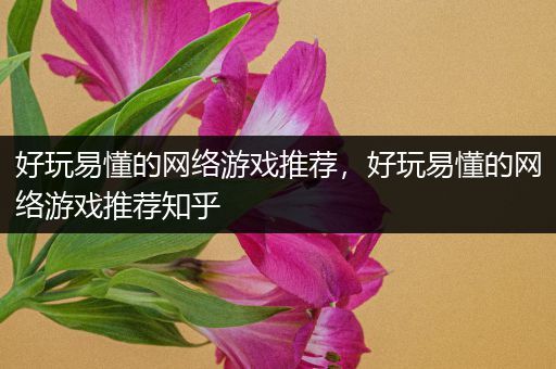 好玩易懂的网络游戏推荐，好玩易懂的网络游戏推荐知乎