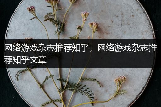 网络游戏杂志推荐知乎，网络游戏杂志推荐知乎文章