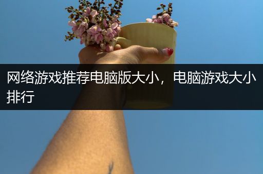 网络游戏推荐电脑版大小，电脑游戏大小排行