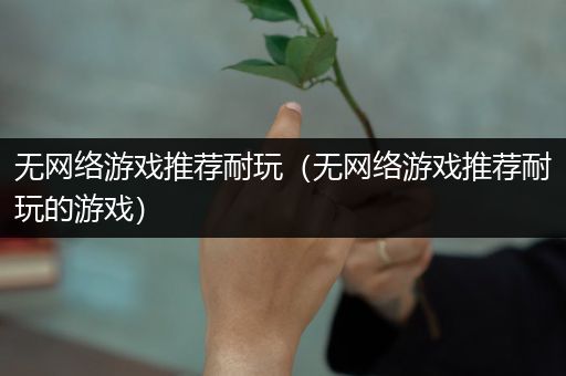 无网络游戏推荐耐玩（无网络游戏推荐耐玩的游戏）