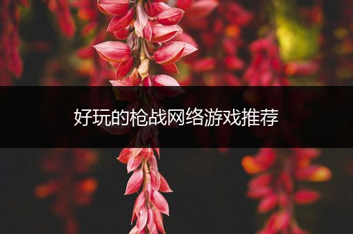 好玩的枪战网络游戏推荐