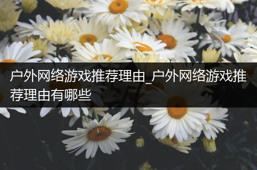 户外网络游戏推荐理由_户外网络游戏推荐理由有哪些