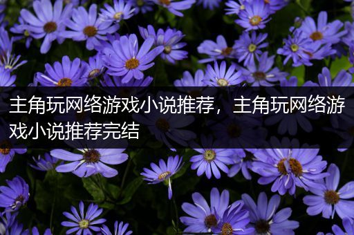 主角玩网络游戏小说推荐，主角玩网络游戏小说推荐完结