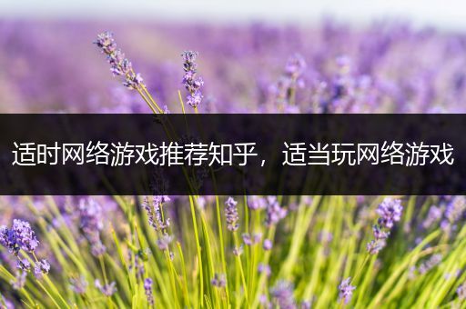 适时网络游戏推荐知乎，适当玩网络游戏