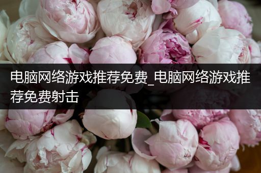 电脑网络游戏推荐免费_电脑网络游戏推荐免费射击