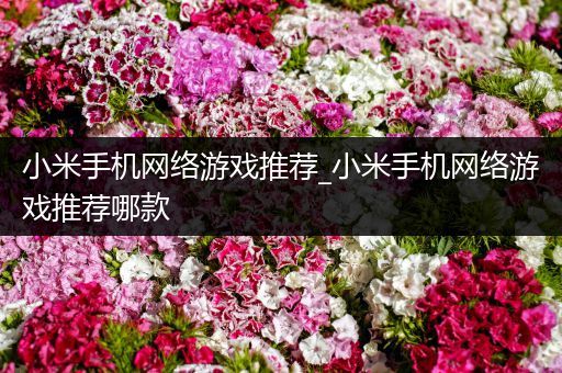 小米手机网络游戏推荐_小米手机网络游戏推荐哪款