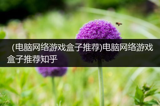 （电脑网络游戏盒子推荐)电脑网络游戏盒子推荐知乎