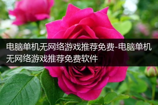 电脑单机无网络游戏推荐免费-电脑单机无网络游戏推荐免费软件