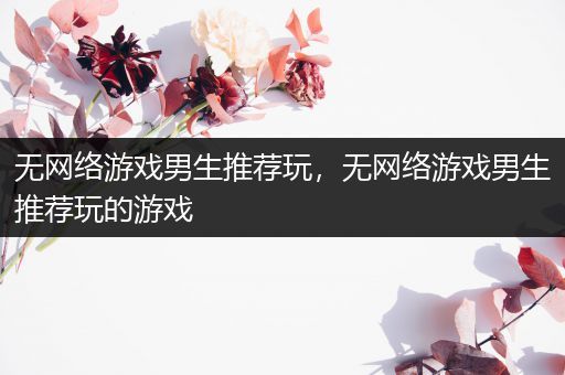 无网络游戏男生推荐玩，无网络游戏男生推荐玩的游戏