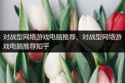 对战型网络游戏电脑推荐，对战型网络游戏电脑推荐知乎