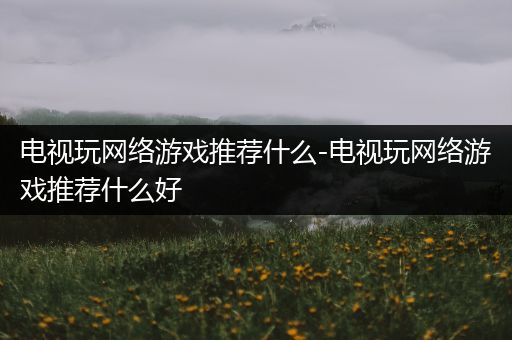 电视玩网络游戏推荐什么-电视玩网络游戏推荐什么好