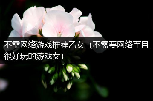 不需网络游戏推荐乙女（不需要网络而且很好玩的游戏女）