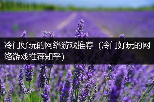 冷门好玩的网络游戏推荐（冷门好玩的网络游戏推荐知乎）
