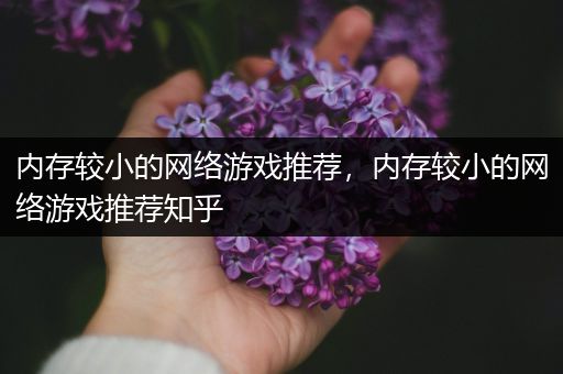 内存较小的网络游戏推荐，内存较小的网络游戏推荐知乎