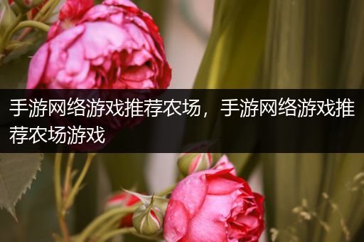 手游网络游戏推荐农场，手游网络游戏推荐农场游戏