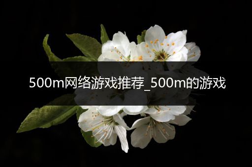 500m网络游戏推荐_500m的游戏