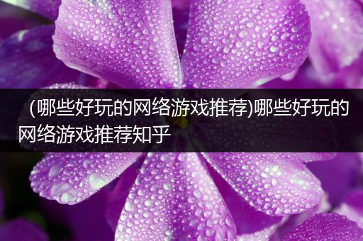 （哪些好玩的网络游戏推荐)哪些好玩的网络游戏推荐知乎