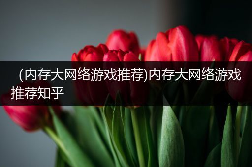 （内存大网络游戏推荐)内存大网络游戏推荐知乎