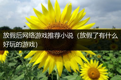 放假后网络游戏推荐小说（放假了有什么好玩的游戏）