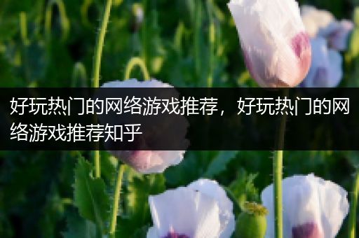 好玩热门的网络游戏推荐，好玩热门的网络游戏推荐知乎