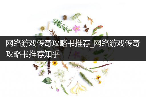 网络游戏传奇攻略书推荐_网络游戏传奇攻略书推荐知乎