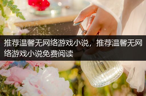 推荐温馨无网络游戏小说，推荐温馨无网络游戏小说免费阅读