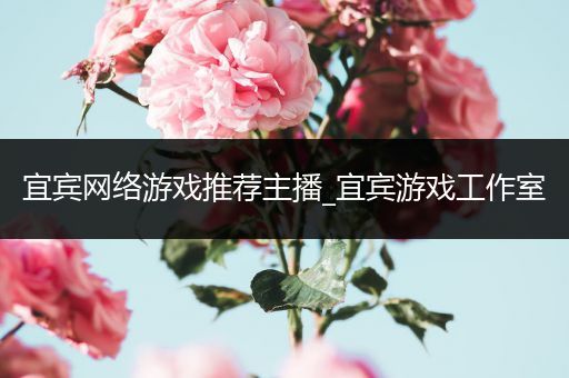 宜宾网络游戏推荐主播_宜宾游戏工作室
