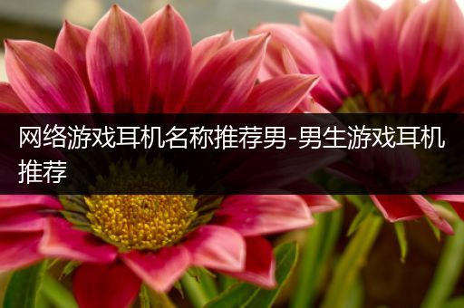 网络游戏耳机名称推荐男-男生游戏耳机推荐