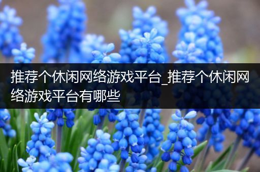 推荐个休闲网络游戏平台_推荐个休闲网络游戏平台有哪些