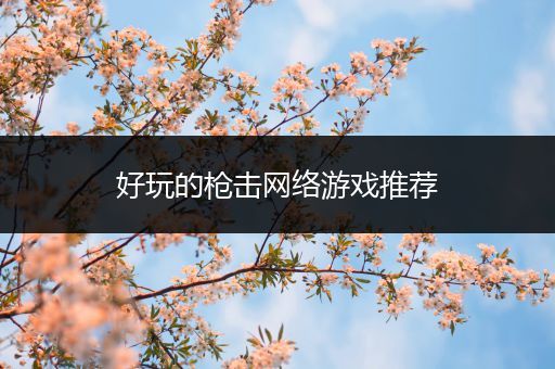 好玩的枪击网络游戏推荐