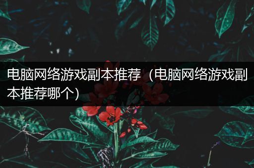 电脑网络游戏副本推荐（电脑网络游戏副本推荐哪个）