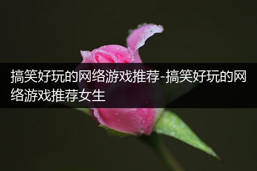 搞笑好玩的网络游戏推荐-搞笑好玩的网络游戏推荐女生